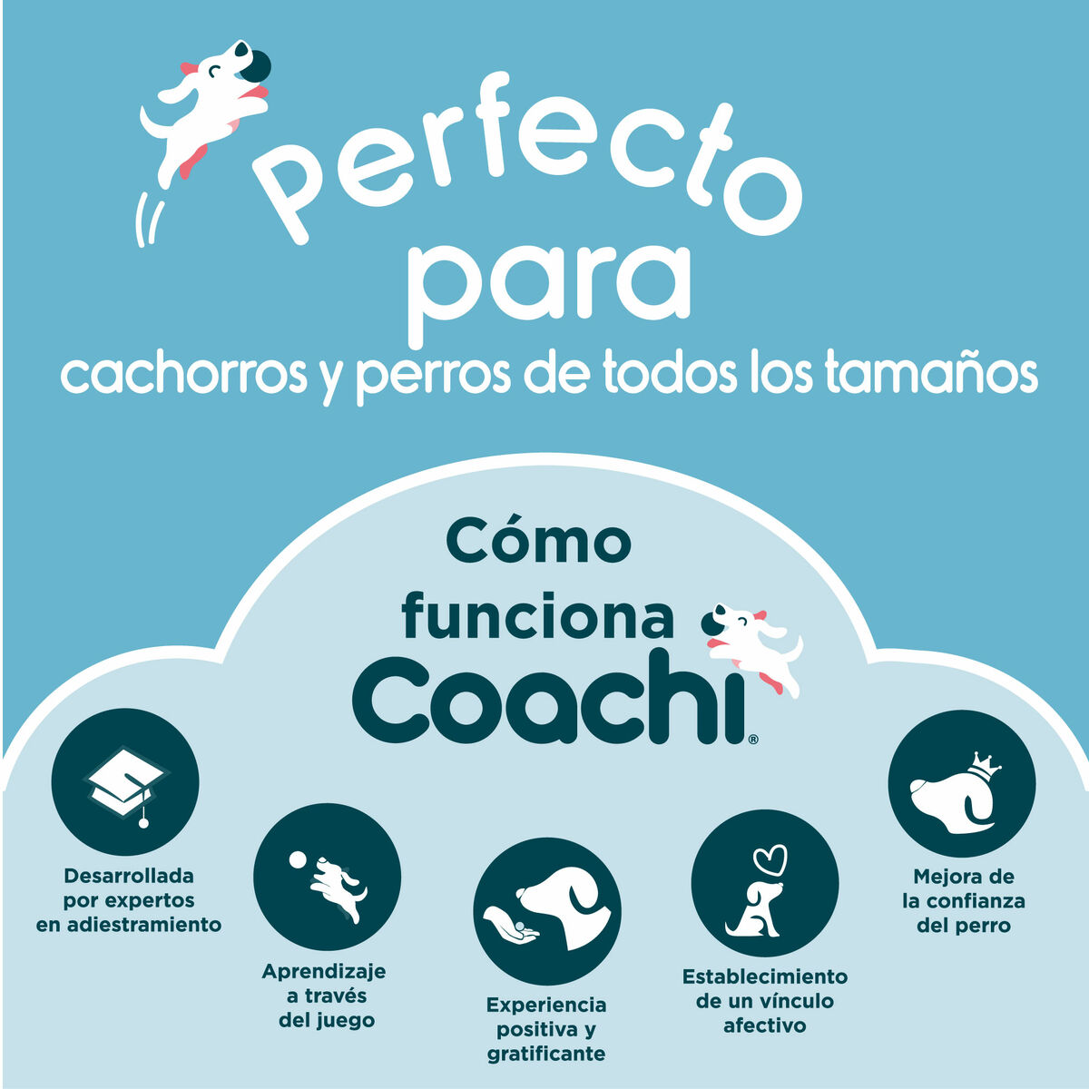 Reisikott Coachi Train & Treat Sinine